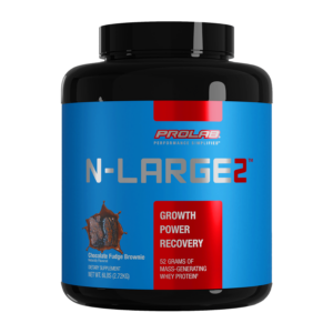 N-Large Chocolate Front