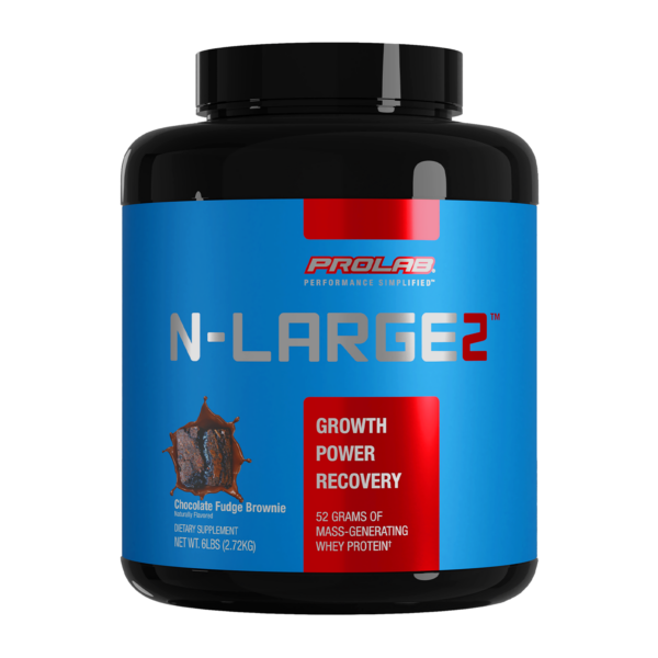 N-Large Chocolate Front